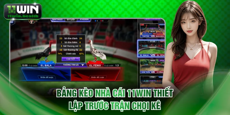 Bảng kèo nhà cái 11WIN thiết lập trước trận chọi kê