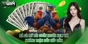 Đá gà Mỹ