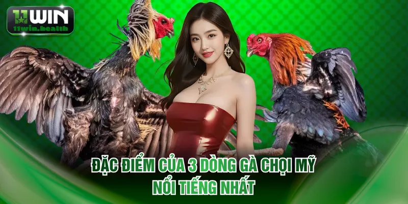 Đặc điểm của 3 dòng gà chọi Mỹ nổi tiếng nhất